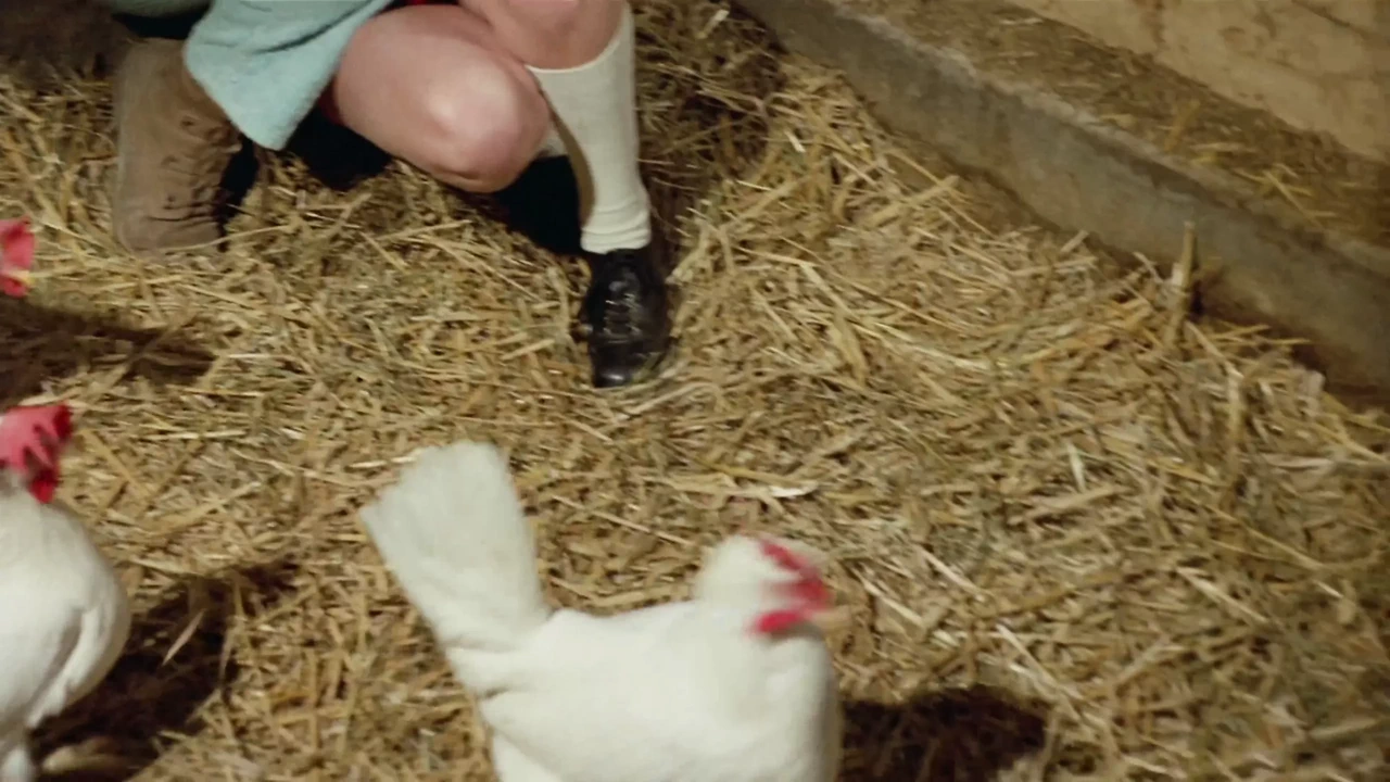 Blutjunge Verfuhrerinnen 2 - 4k修复（配音）