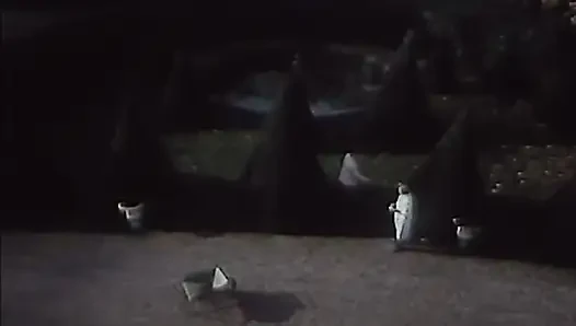 İyi şık, iyi tarz, ama... Sürtükler!! (1983)