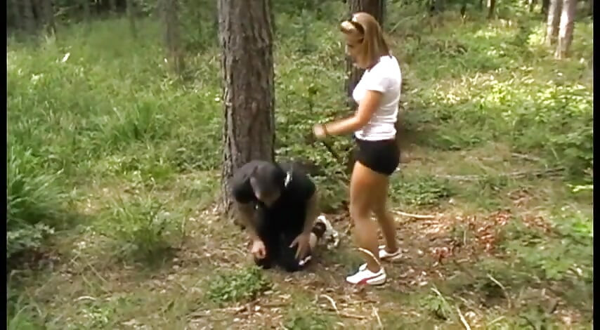 Um bom pônei brinca nas montanhas