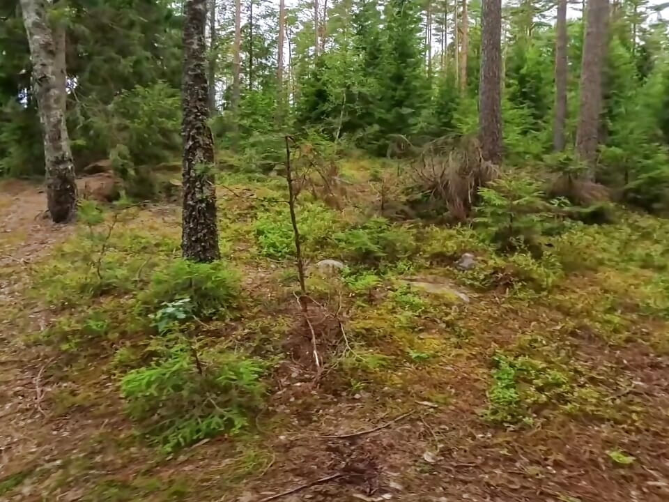 Goi la un "Stuga" în Suedia