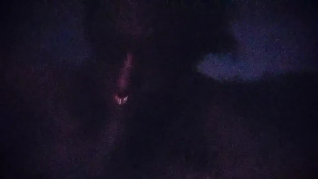 Blowjob Season