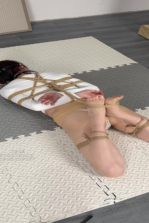 Vacuum Meat Thread Bobo Shell Electric Shock Collar