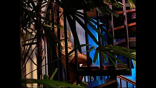 Wild Desires Unleashed