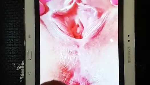 jillians kedi üzerinde Cum.