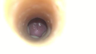 Вид изнутри на Asa Akira, текстура с глотанием, искусственная вагина