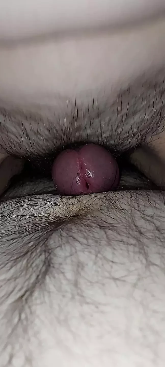 Fuck My Stepsisters Hairy Tight Pussy Porn Videos