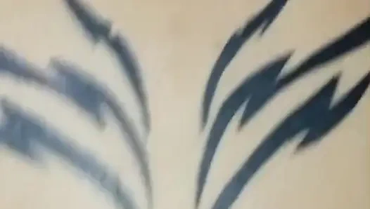 Shell lutschen und nahaufnahme