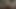 素敵な猫
