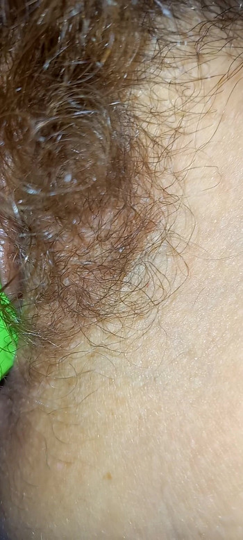 BUBU dild pepek berbulu matang