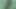 Green panties walk in the woods.