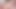 桜の罰と膣のセックス