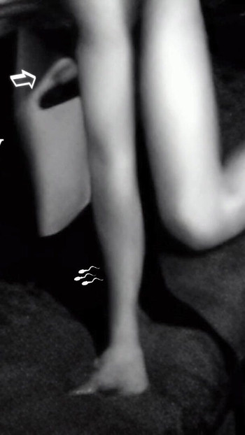Iconic moment from "Hump Masturbation black and white with the first real Webcam in 1996"