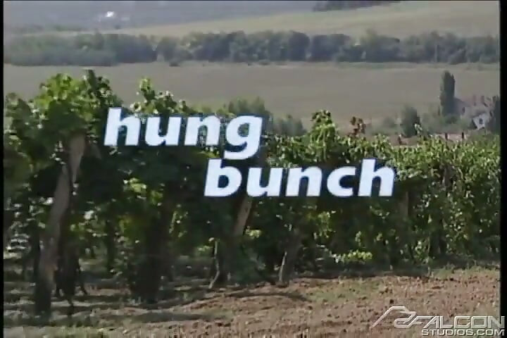 Hung Bunch