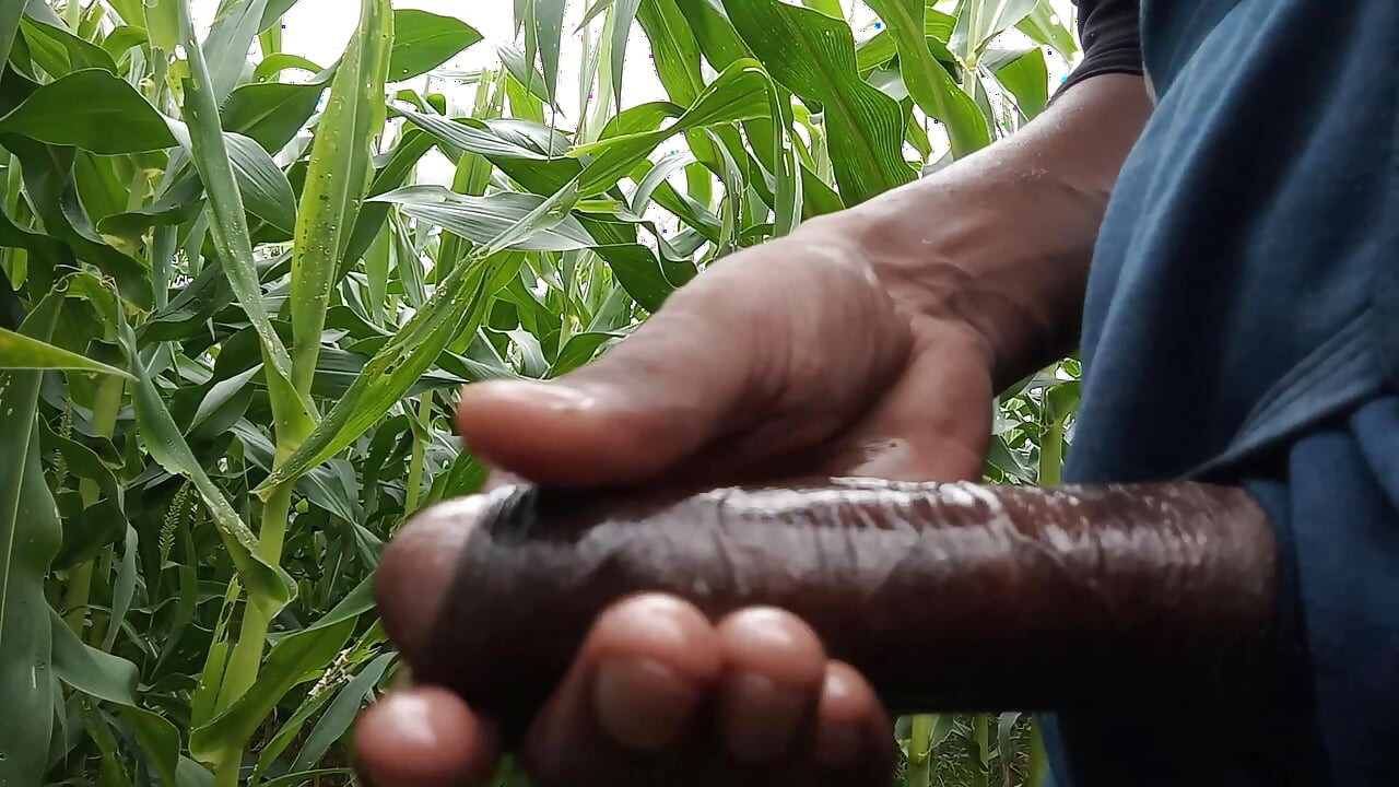 Makka ke khet me oil se malish apne lambe land ki