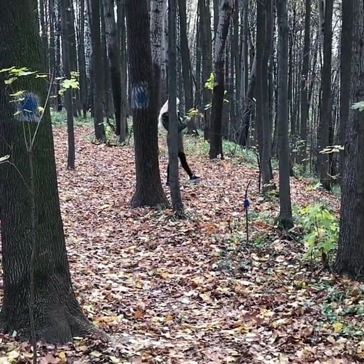 Blonde in the Forest Fucks Standing up with a Stranger on Camera