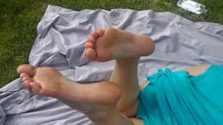 beautiful soles on grass