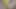 Pikachu Seksi Kız Dildo Ile Amcığını Sikiyor
