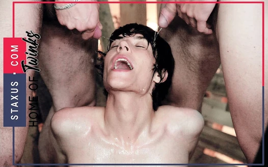 Staxus