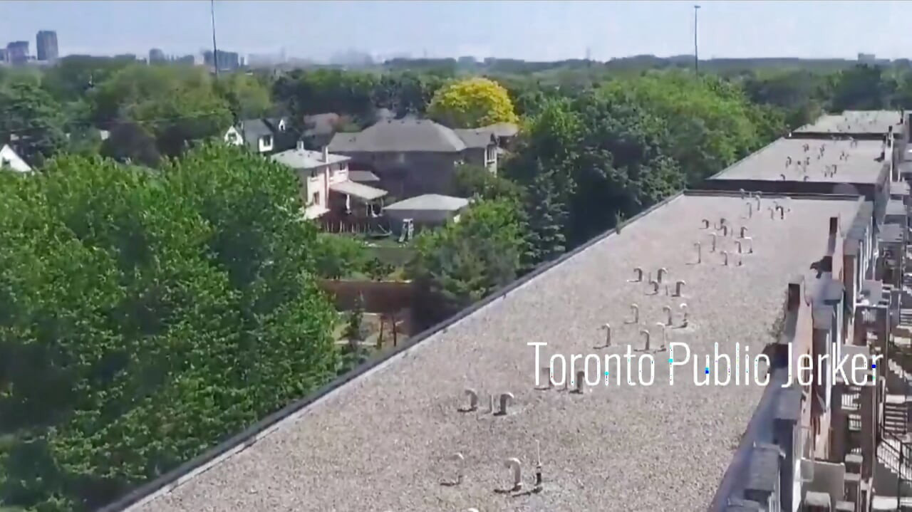 Jerking on my balcony over Toronto skyline and Hwy 401