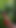 Must-share moment from "Hardcore Sex With My Travel Companion In A FOREST Cabin"