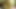 Der hübsche hetero matt reitet einen großen schwanz