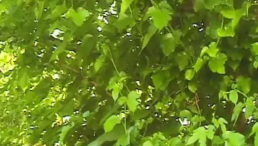 Weiße Höschen Chroniken: Heiße Outdoor-Abenteuer