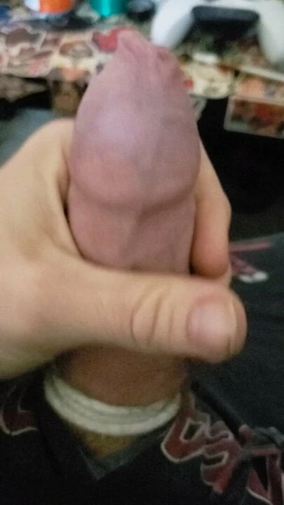 Cock tied up