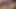 Paige Ashley And Claudia Rossi Lets Her Pussy Get Fucked