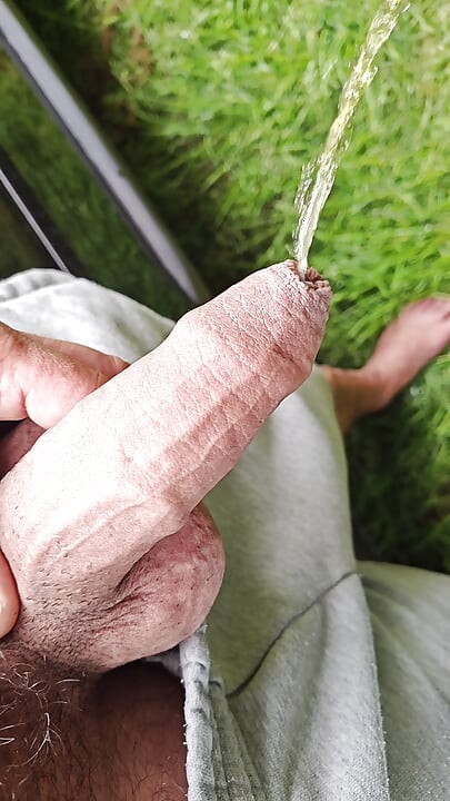 Leikkaamaton kulli pissaa
