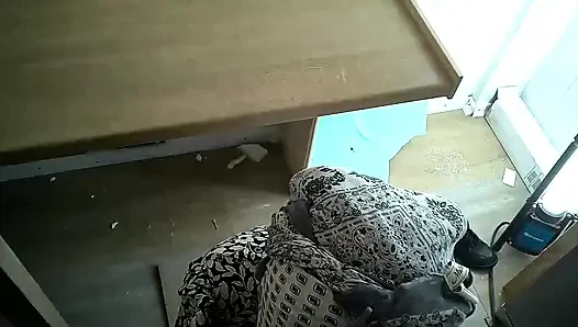 Muslim woman tries sucking a cock and does a good job