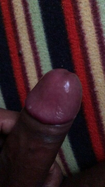 Sri Lankan dick