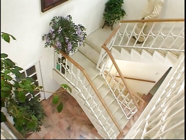 Stunning ebony model with huge bristols takes cock in doggy style on the stairs
