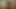 Amateur brazilian couple fucking