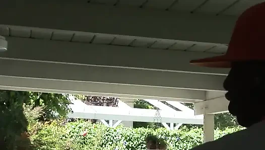 Schwarzer stier besamt die weiße stieftochter des nachbarn