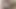 みんな、僕のトゥワーク動画が恋しい?