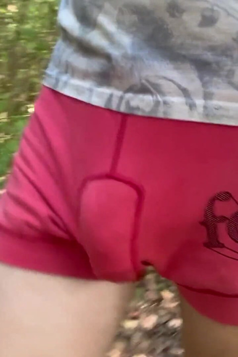 Bulge Walk in a Forest