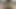 セクシーな女の子は吸った後にモンスターコックに乗る
