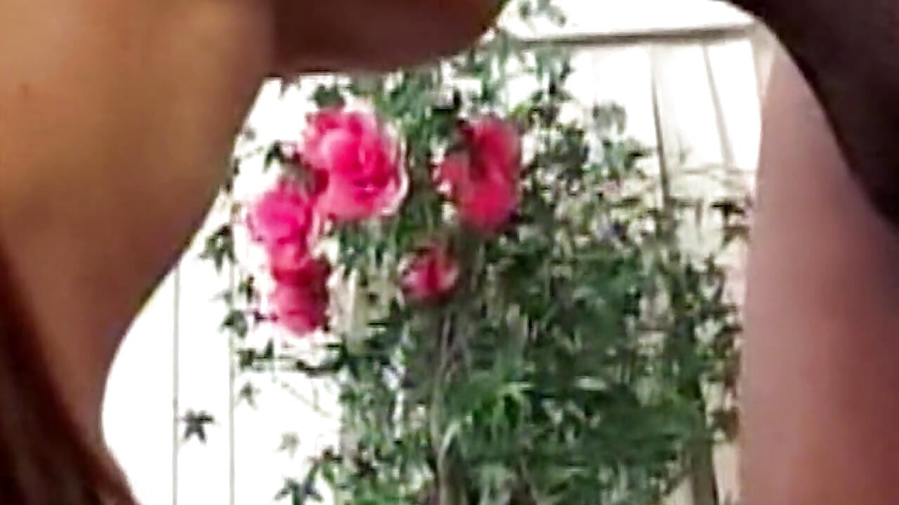 hemmungslose Sehnsucht eskaliert in einer hemmungslosen