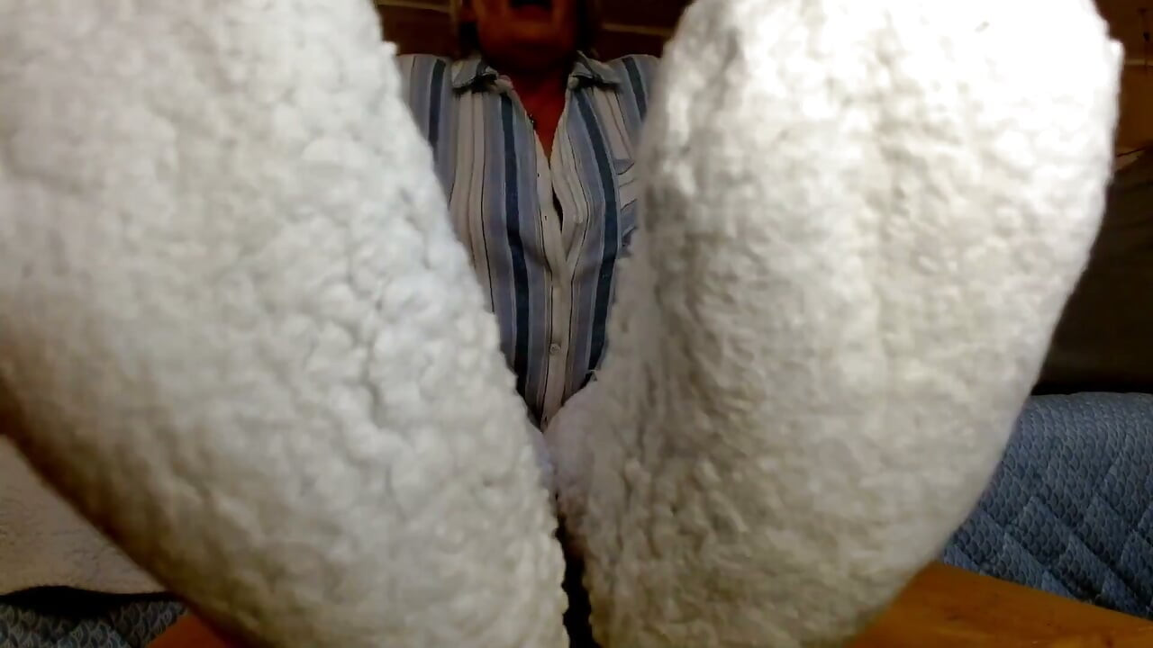 1466 Mason Must Smell My Stinky Socks From Dawnskye1962