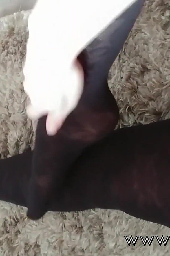 Special Feet Worship Video for My Little Pets!