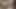 Full climax cumshot compilation + post orgasm pleasure suck