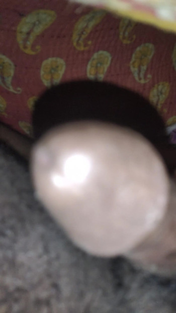 Xxx