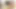 Gigi allens porno dan'in şişman parmaklarıyla anal sikiliyor!
