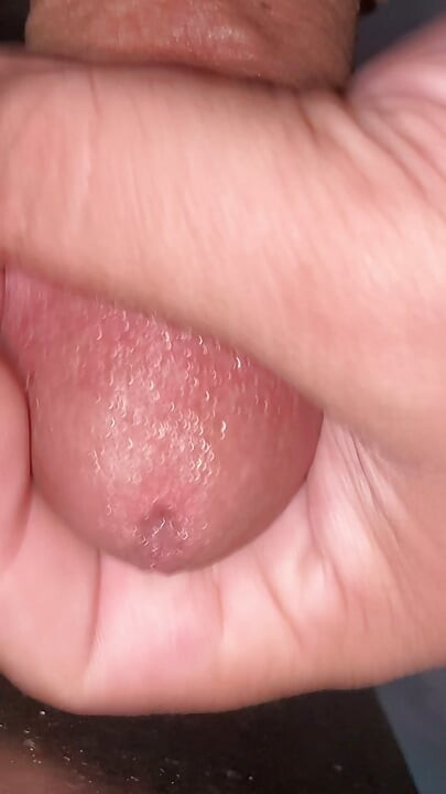 I've got a big cock, I'm horny, I'm looking for someone to suck it, or maybe I'm going to put it in someone's mouth