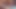 太った猫がムラムラする