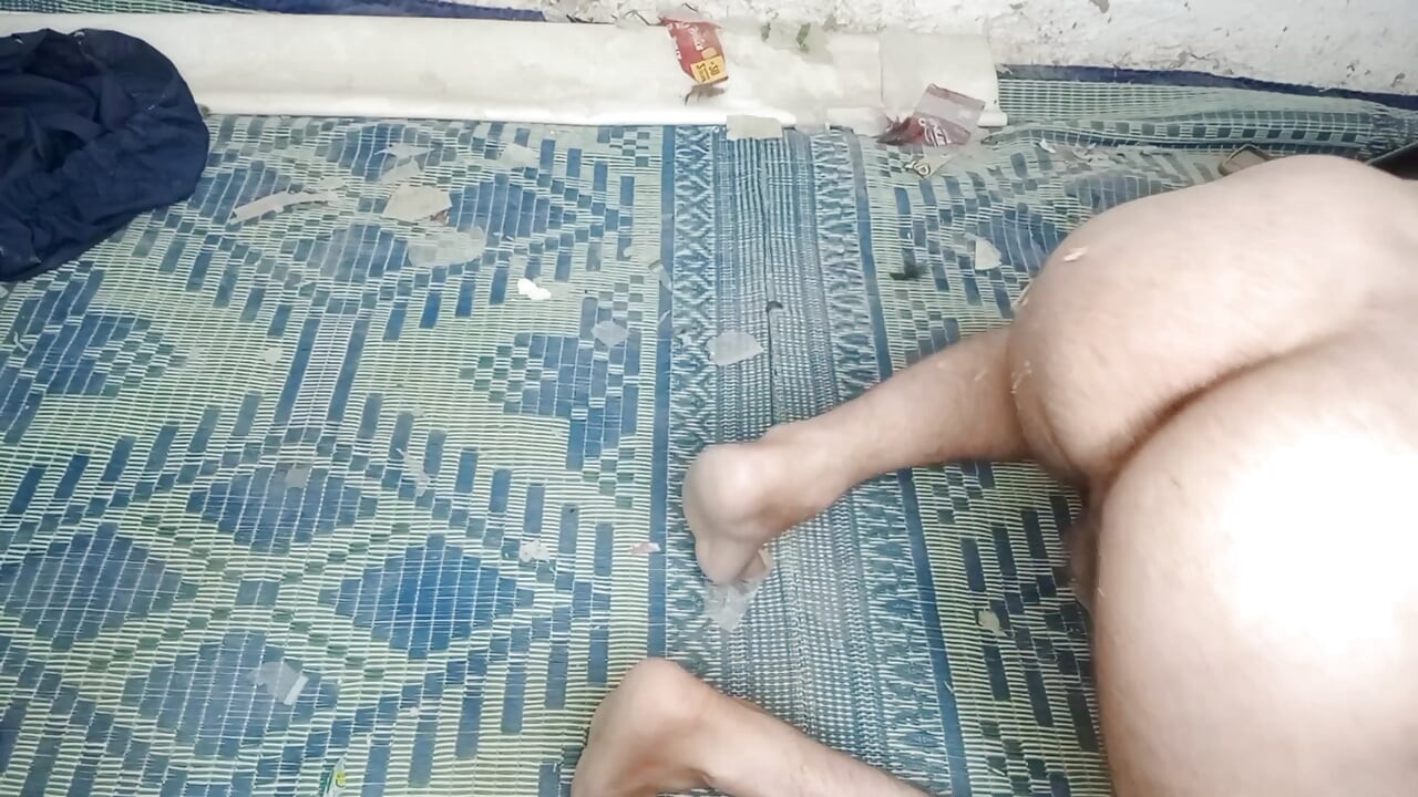 The real way to train a monkey