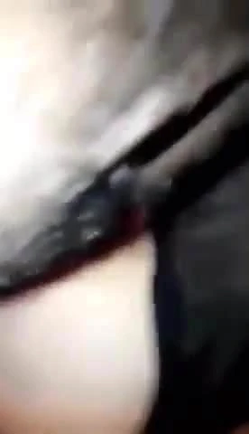 블랙 아나콘다