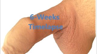 6 hairy timelaps weeks
