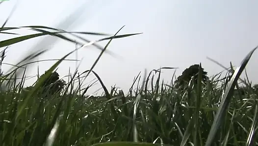 Dua cewek militer mulutnya dicrot sperma di luar ruangan