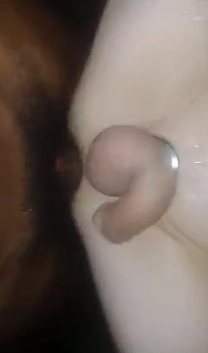 Limp White Cock and BBC